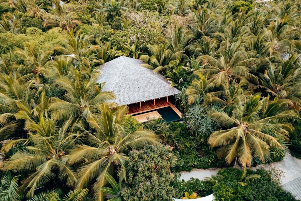 A Luxury House Surrounded by Exotic Bushes and Palm Trees