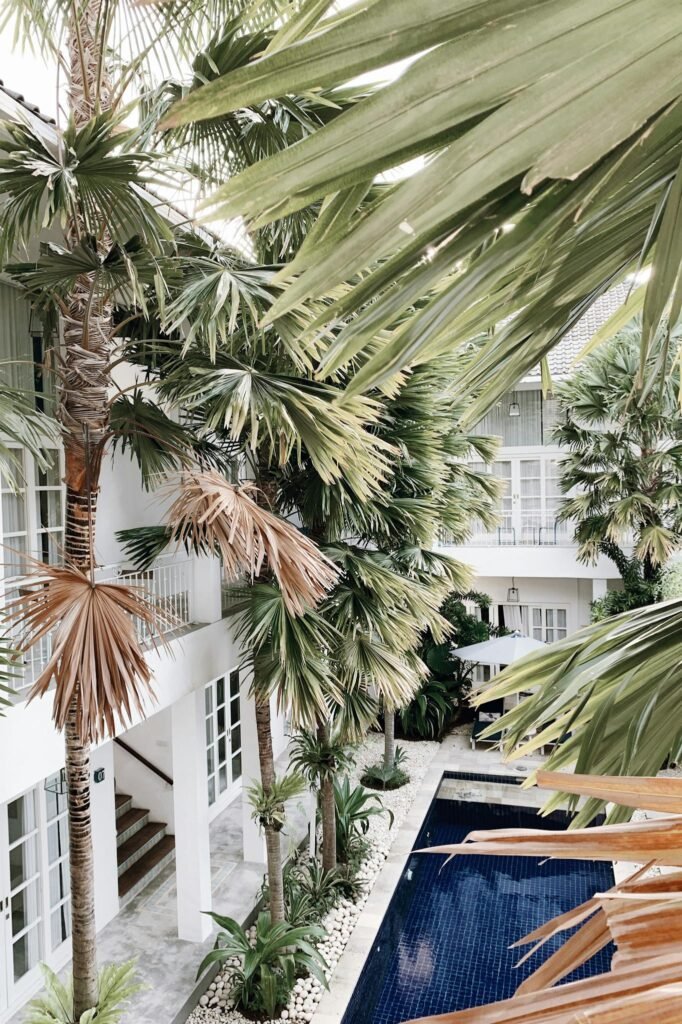 Resort with a Swimming Pool and Palm Leaves